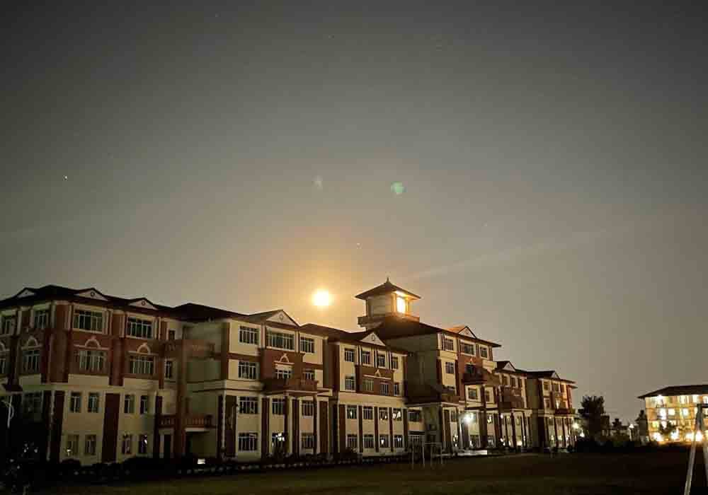 Alfa Skill Institute